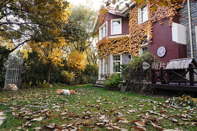 秋天私家别墅的庭院