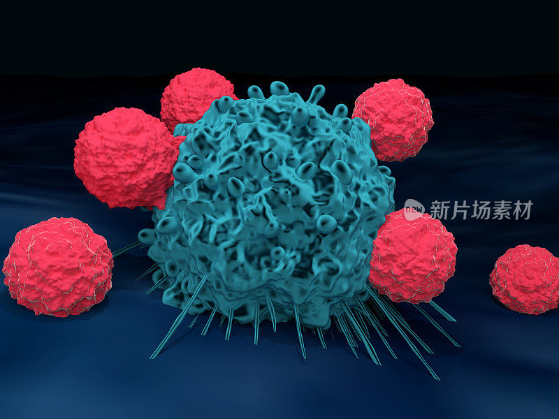 T细胞攻击癌细胞