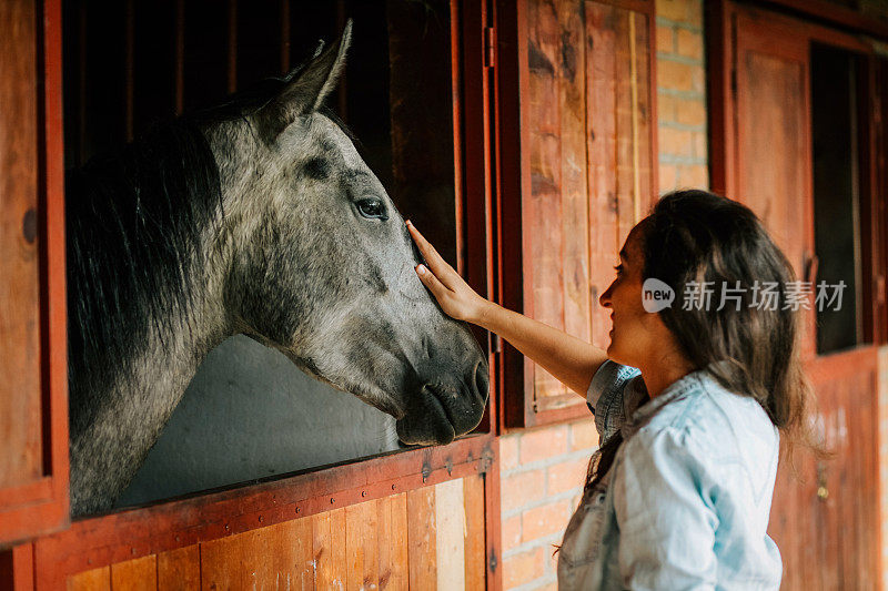 少妇与马