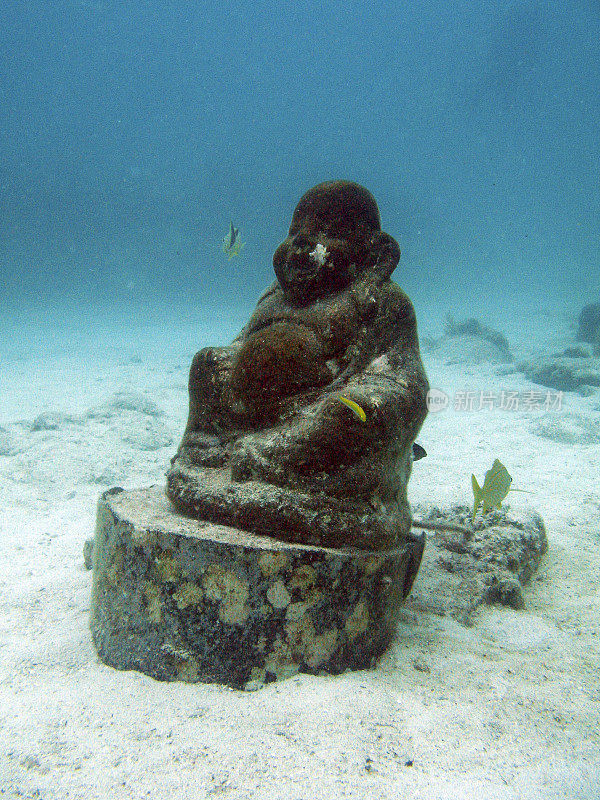 佛罗里达群岛海底的一尊佛像