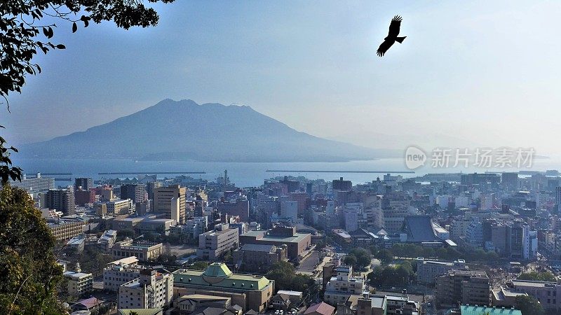 鹿儿岛的城市