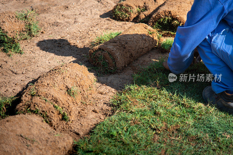 男人在院子里种草的特写