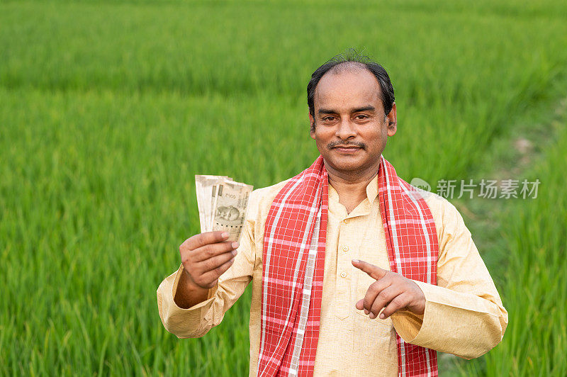 一名农民在绿色庄稼中间拿着印度卢比钞票。