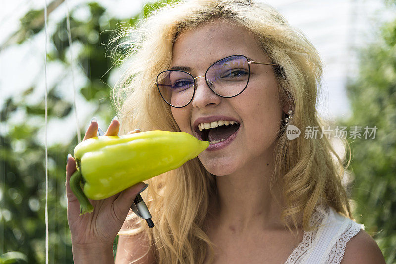 农业技术专业的学生在大学的温室里学习