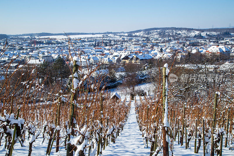 冬天的麦琴根。德国巴登-符腾堡州