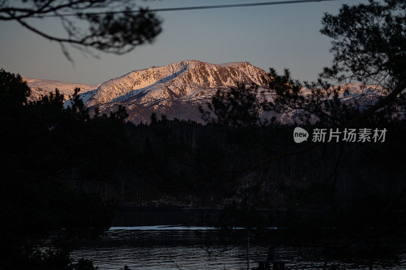 户外:森林和雪山