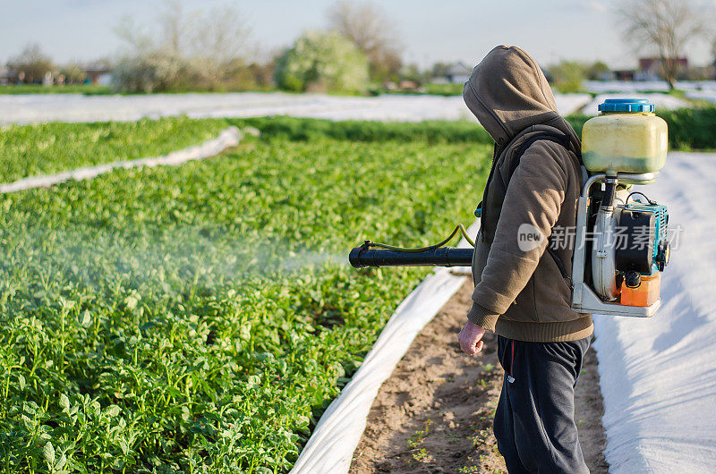 一位农民在马铃薯种植地里喷洒化学药品。保护栽培植物免受昆虫和真菌感染。增加收成。控制使用化学物质种植食物。