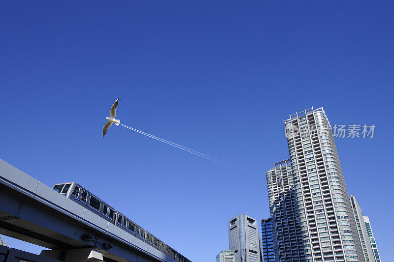 海鸥飞过百合阁和一幢超高层公寓，日本东京