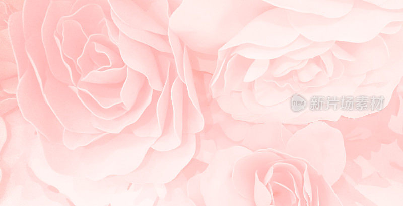 甜美的颜色玫瑰花在模糊风格的图案纹理