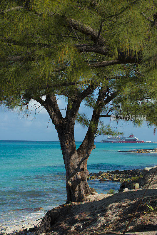 巴哈马海滩比米尼群岛