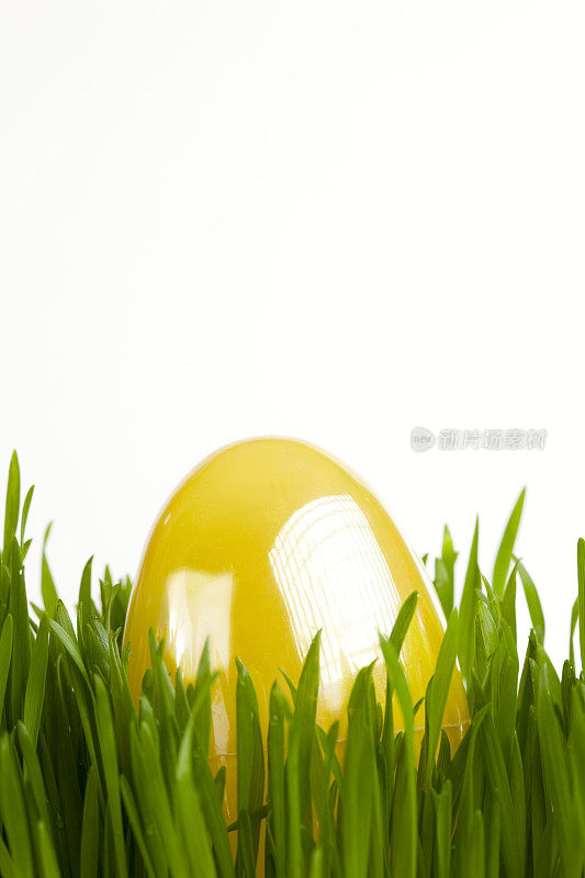 近距离的复活节彩蛋隐藏在草地上的白色，Copyspace