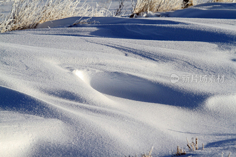 雪地里