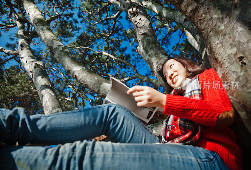 女孩在树上看书