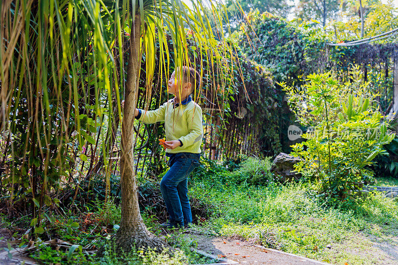 小男孩在花园里玩