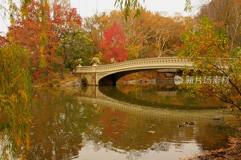 弓桥湖倒影和鸭子-中央公园，纽约