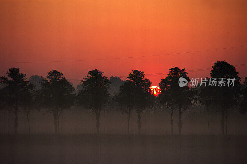 有雾的早晨场景