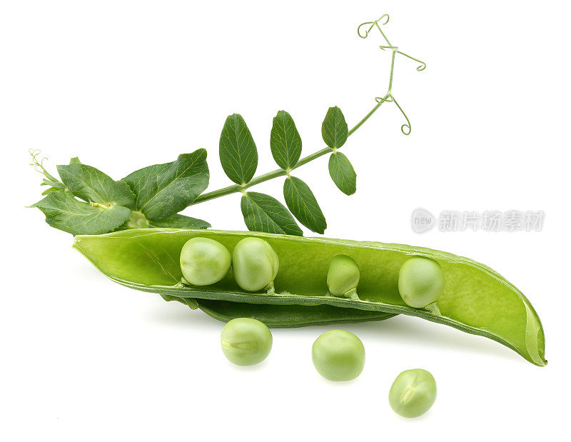 鲜绿豌豆
