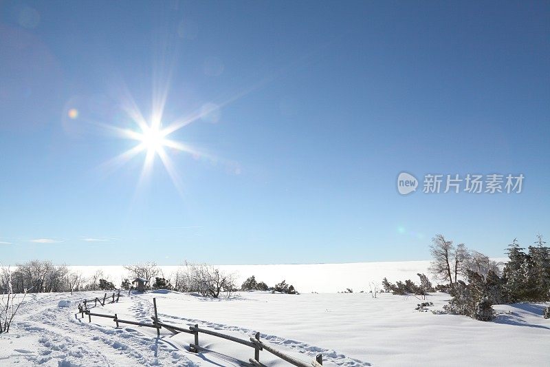 冬天的风景和美丽的阳光在黑森林