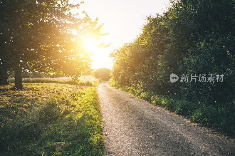 田野路走进阳光