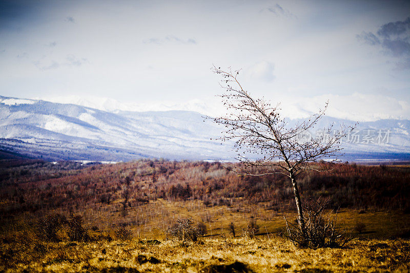 Carpatian山