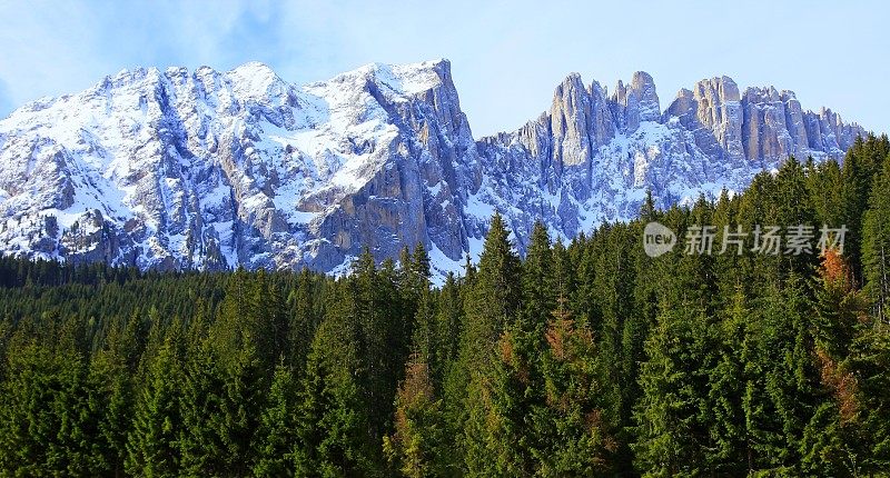 白云石高山地貌，绿色松树山谷，波尔扎诺，南泰洛