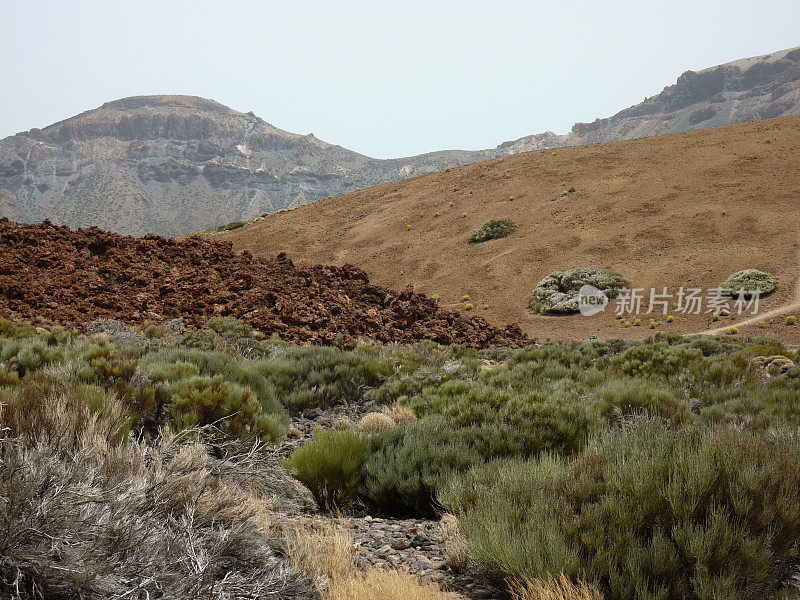 彩色的火山口景观，泰德国家公园-特内里费