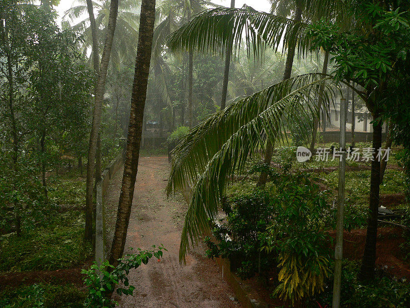 降雨