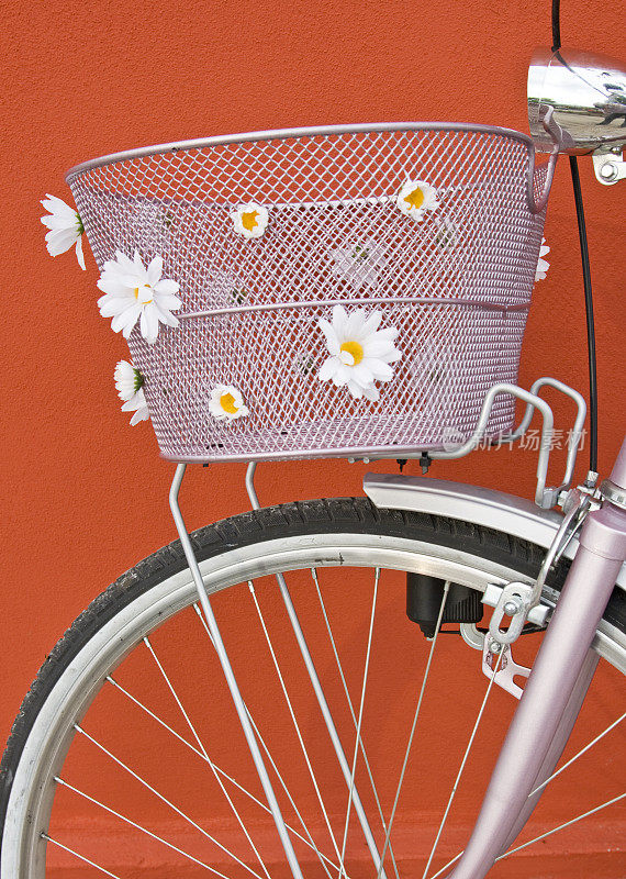 带篮子和雏菊的老式粉色自行车