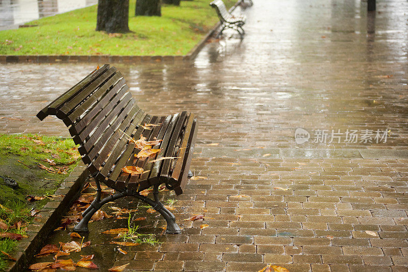 公园长椅和长廊在秋天的时间与树叶。
