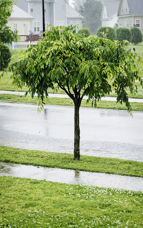 夏季暴雨期间的暴雨