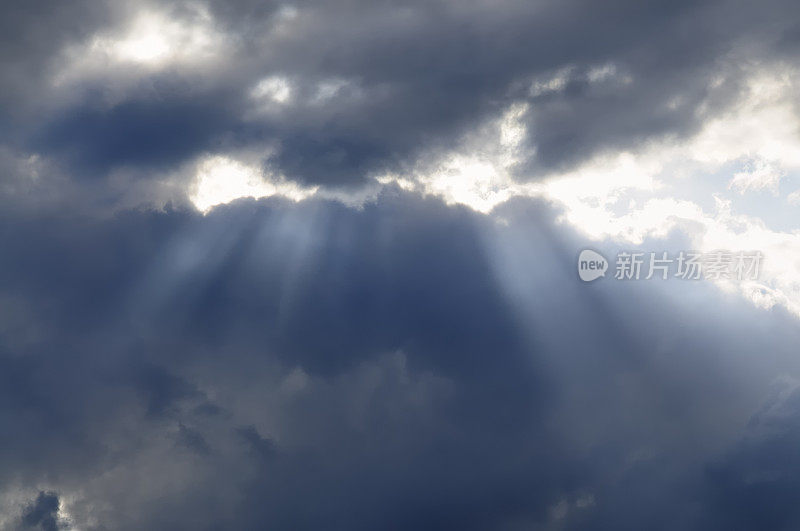 面对暴风雨