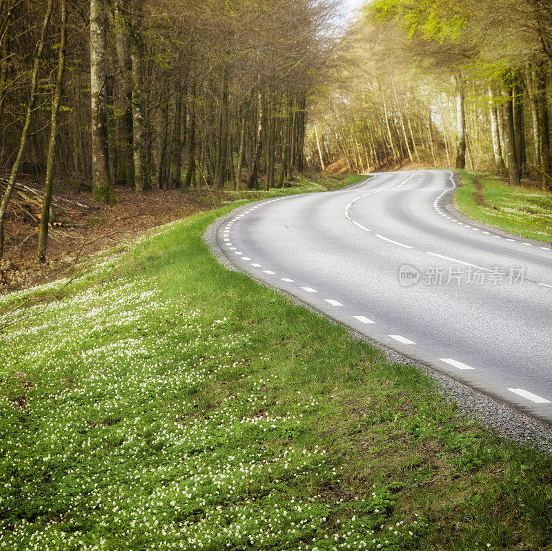 春天的道路