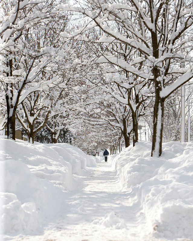 雪绑定