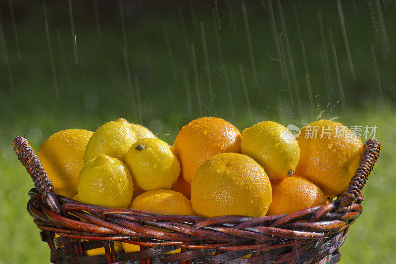 篮子里的橘子和柠檬，还有雨水