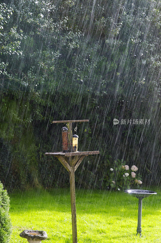 大雨落入家庭花园