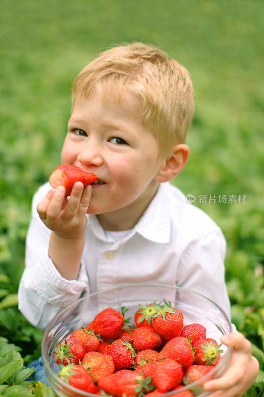 春天，快乐的小男孩在花园里吃草莓