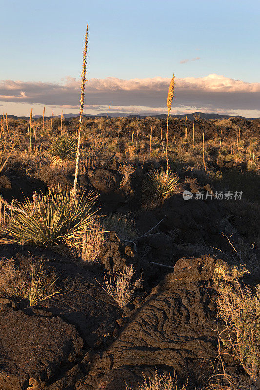 新墨西哥州火谷沙漠熔岩流