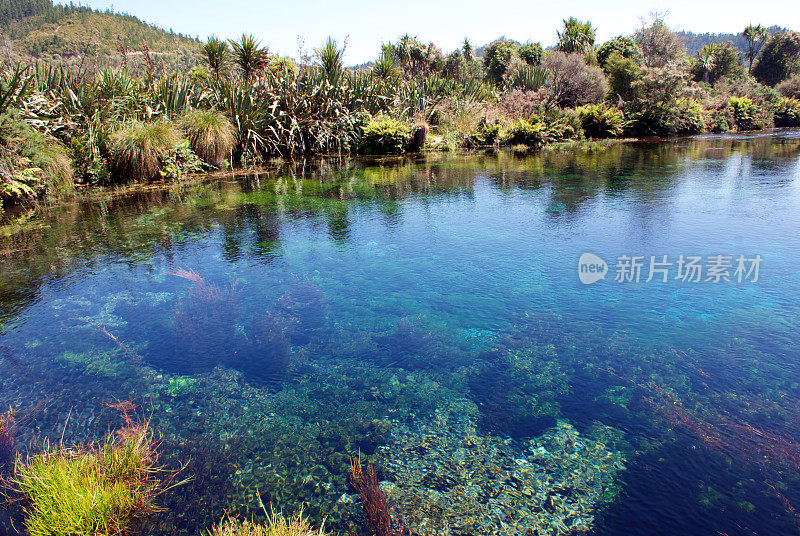 新西兰，塔卡，金湾，特怀科罗普温泉