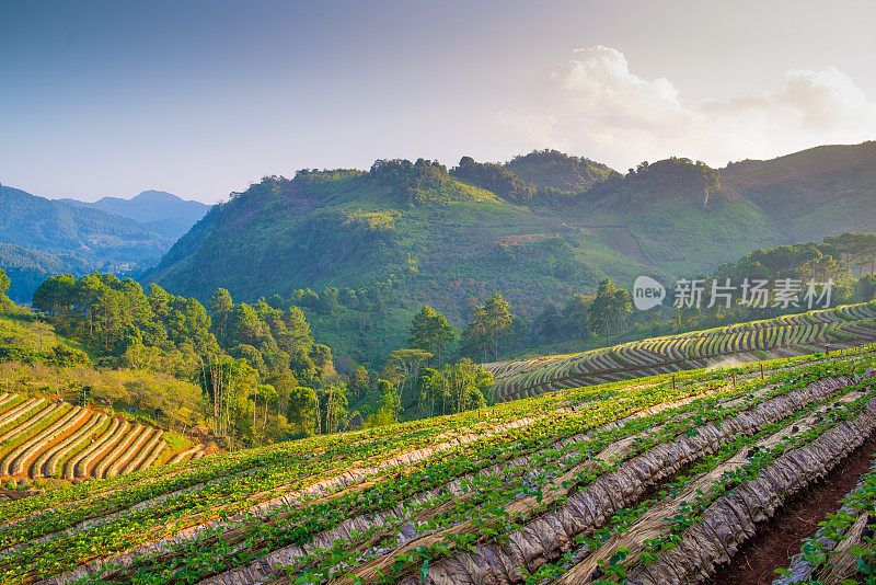 泰国北部山区的清晨日出全景