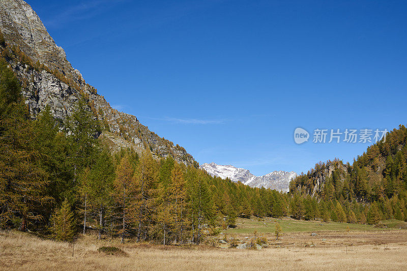 高山景观