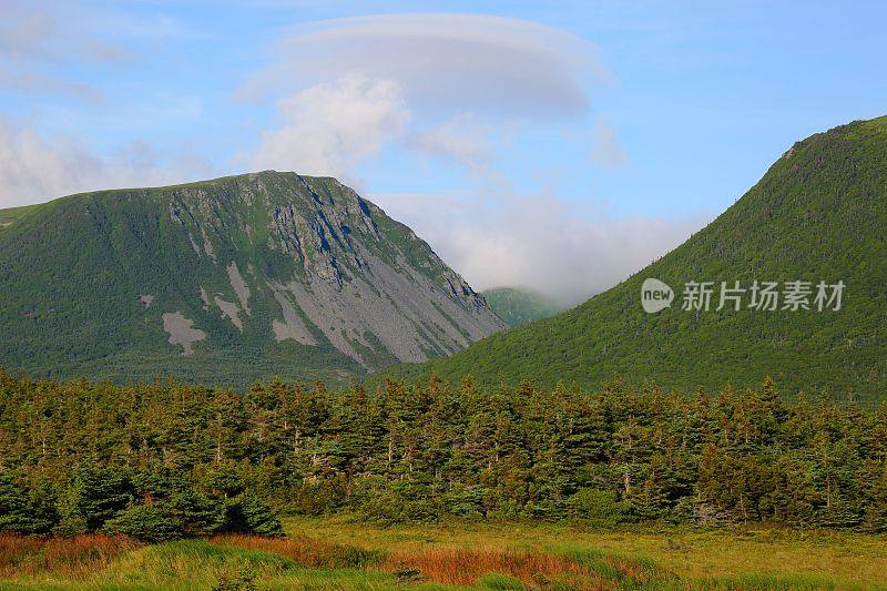 纽芬兰山景