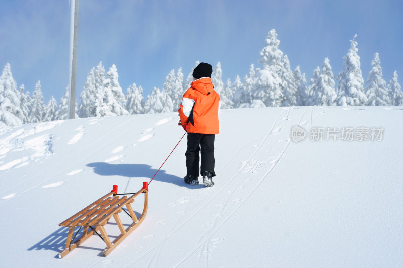 男孩坐着雪橇上山