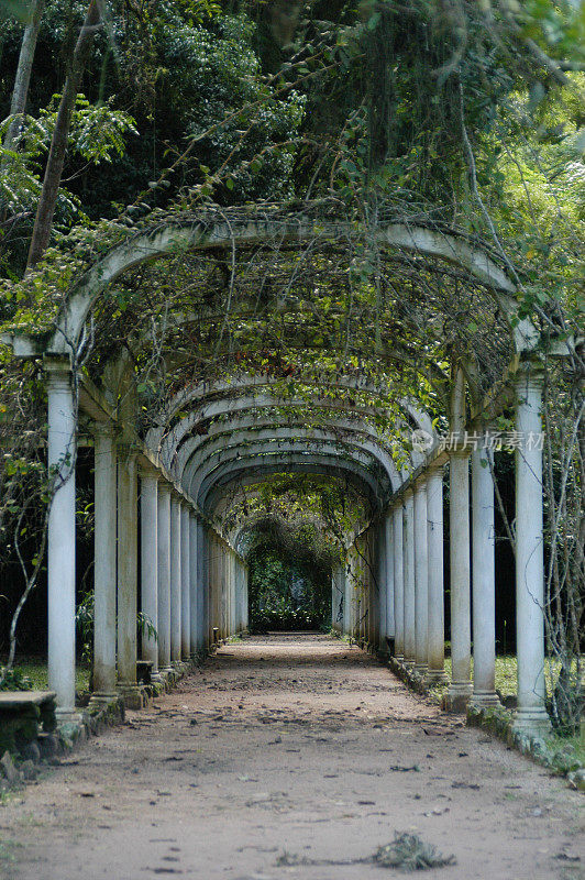 葡萄园的Arbor，植物学Jardim，里约热内卢