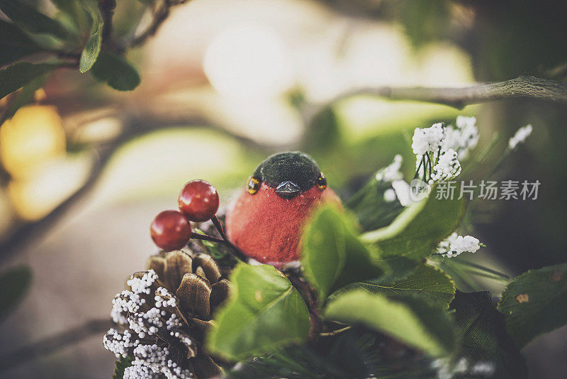 圣诞节的魅力。鸟儿在有冬天浆果的树枝上