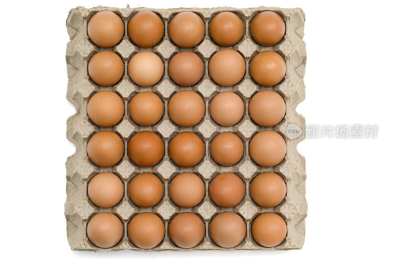 鸡蛋放在白色背景的纸盒里