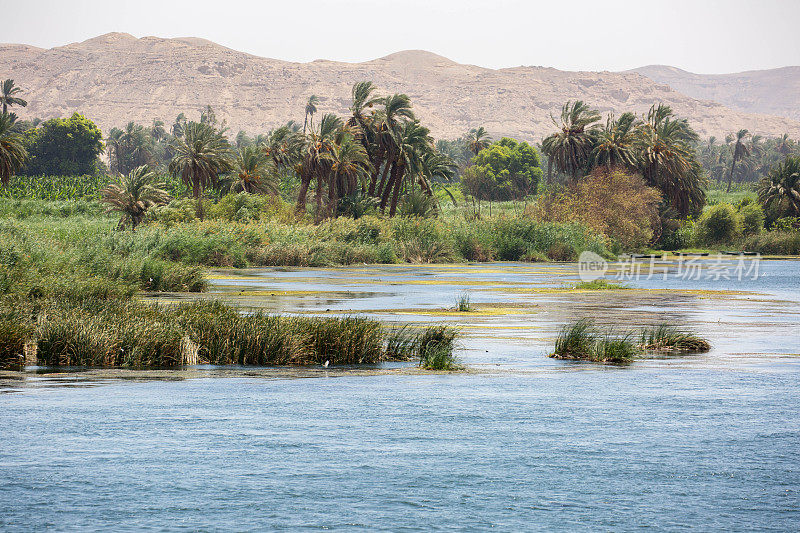 埃及尼罗河