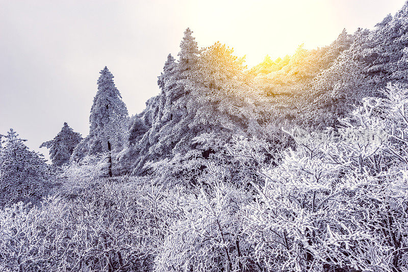 黄山国家公园冬季日出景观。
