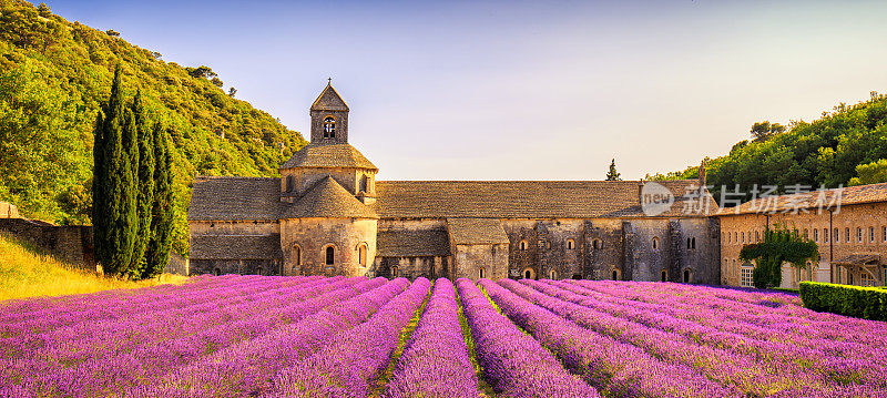 塞南克修道院，薰衣草盛开，日落全景。戈得斯，鲁伯隆，法国普罗旺斯。