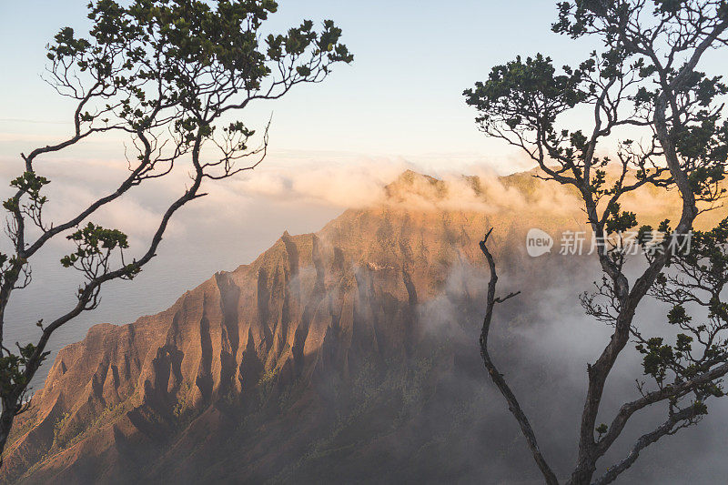 夏威夷山