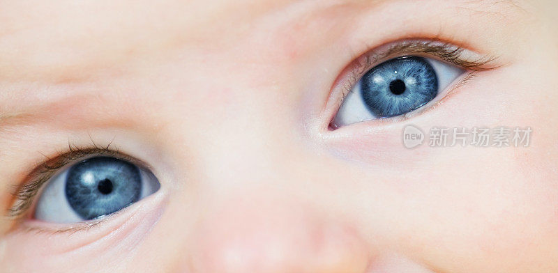 婴儿的眼睛
